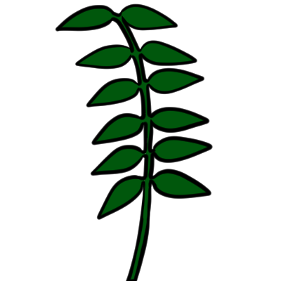 abruptly pinnate (compound leaf shape)