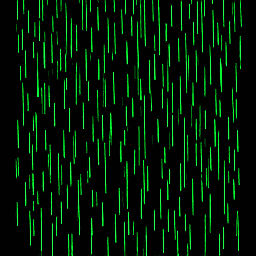 rain