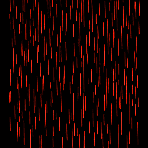rain
