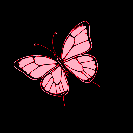 butterfly