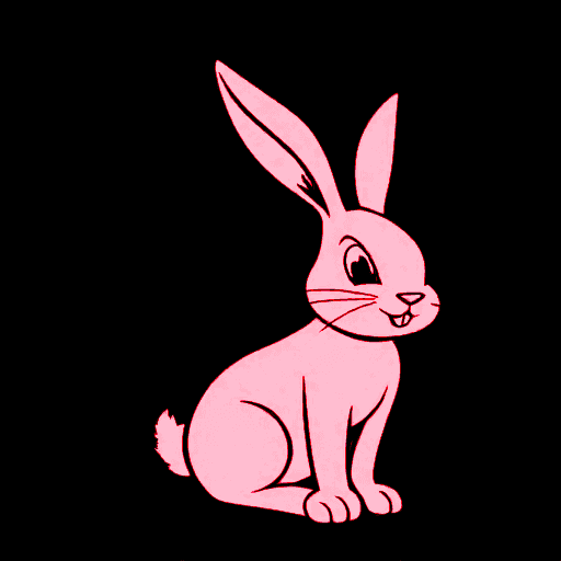 rabbit