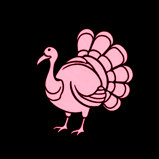 turkey