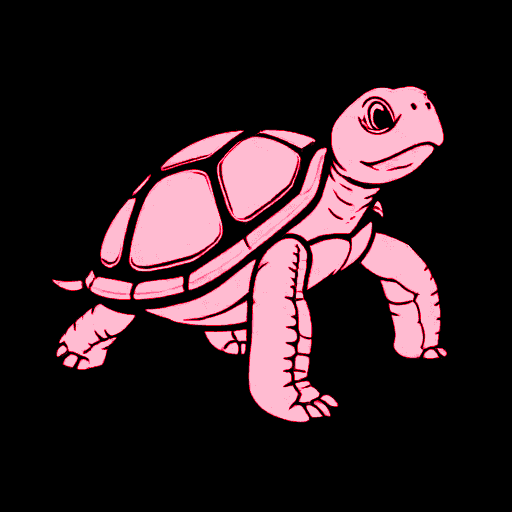 turtle