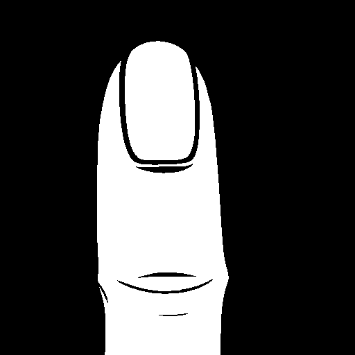 fingernail