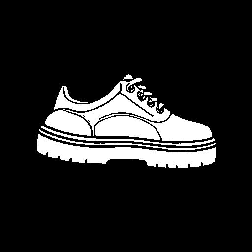 shoe