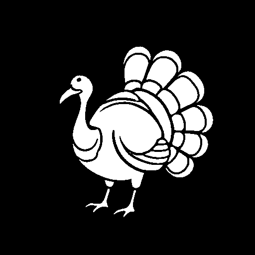 turkey