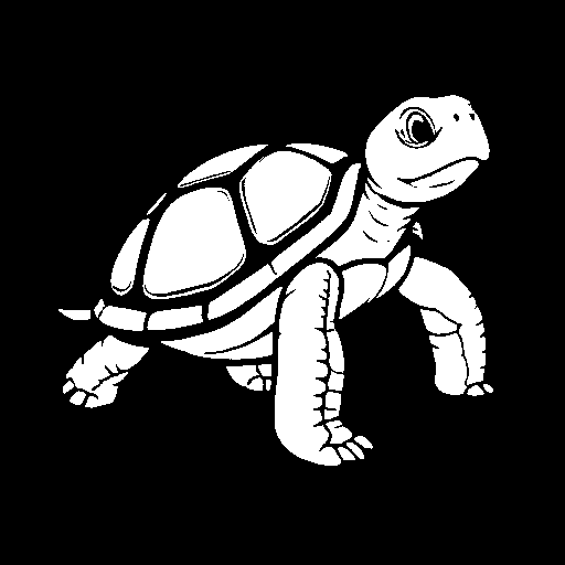 turtle
