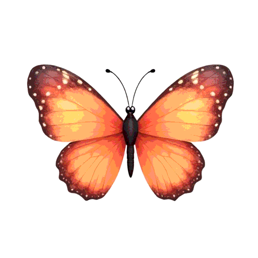 butterfly