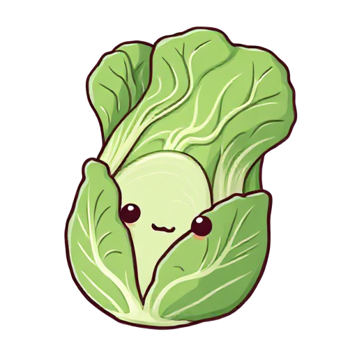 cabbage