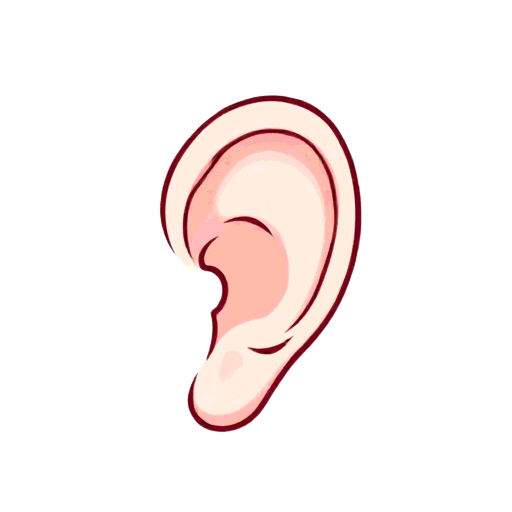 ear
