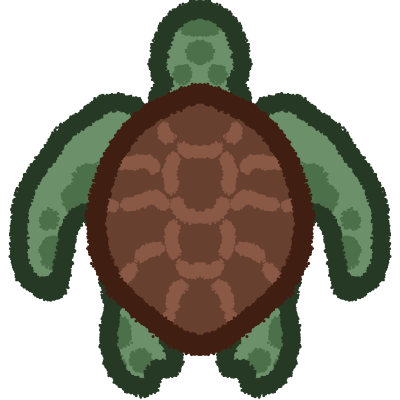 sea turtle