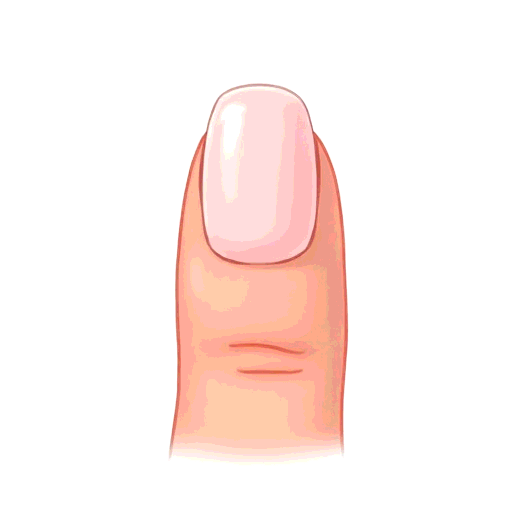 fingernail