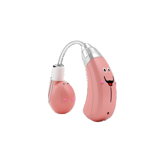 hearing aid