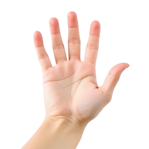 hand