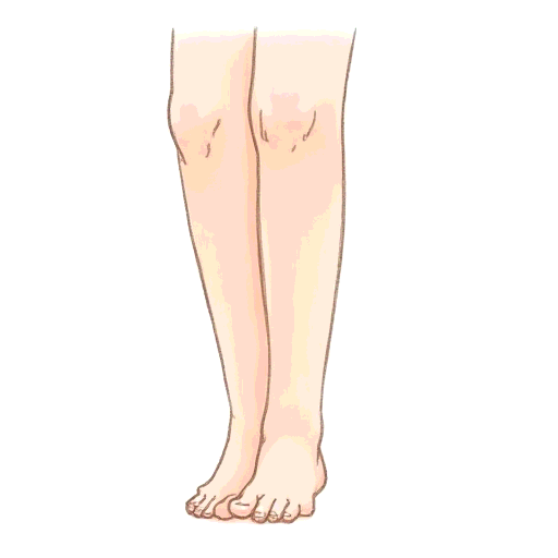 legs