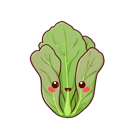 lettuce