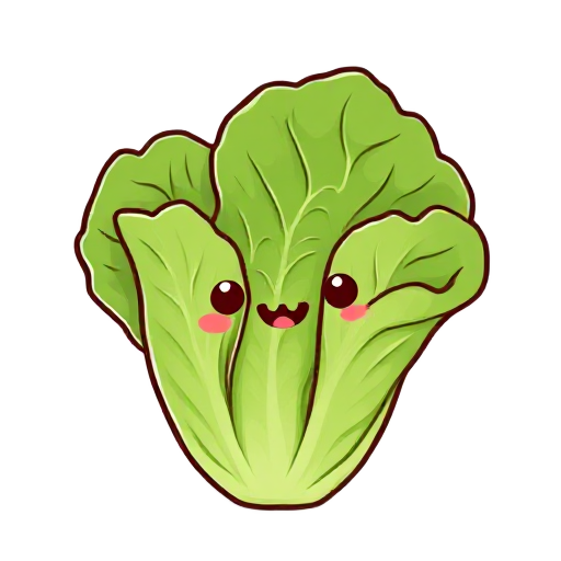 lettuce
