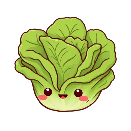 lettuce