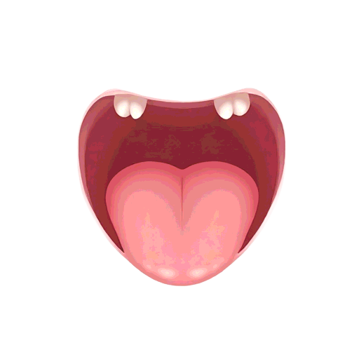 mouth
