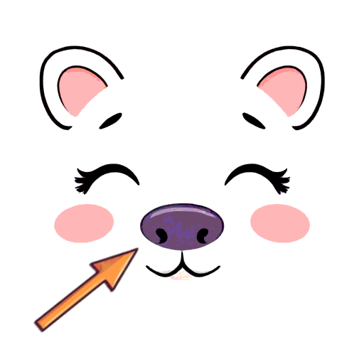 nose