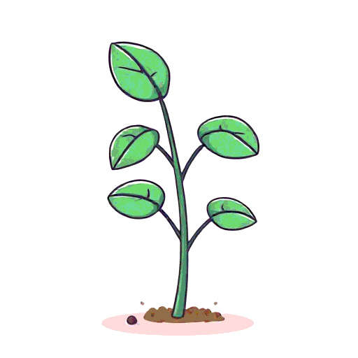 plant