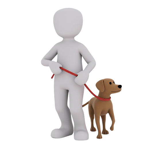 pausing with a dog
