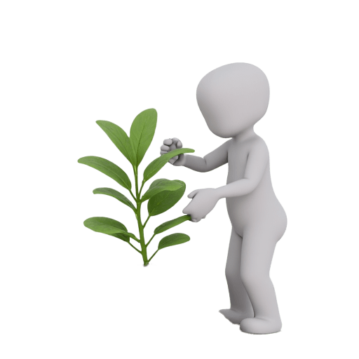 grow