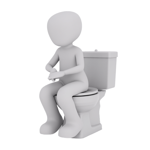 go to the toilet