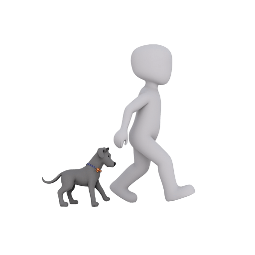 heeling a dog