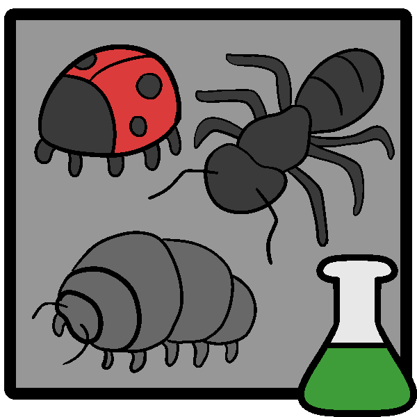 entomology