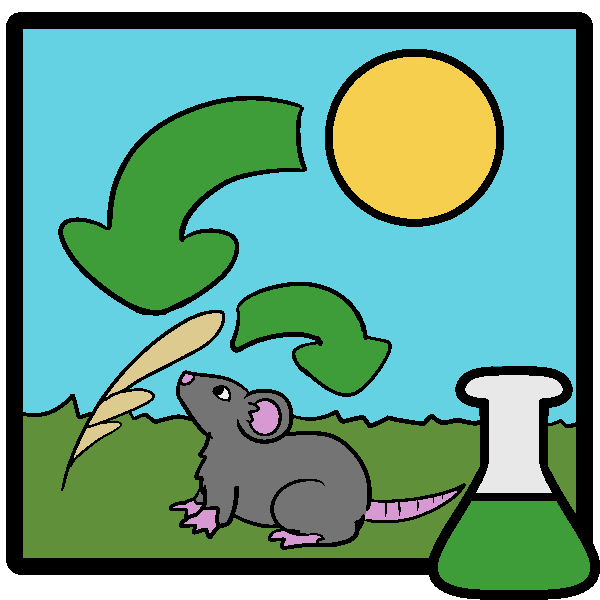 ecology