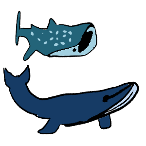whales