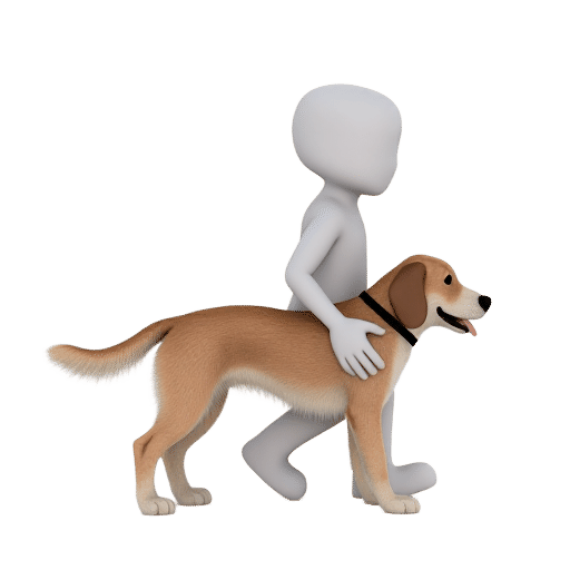 patting a dog