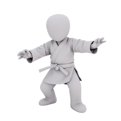 play judo