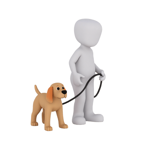 puting the dog on a lead