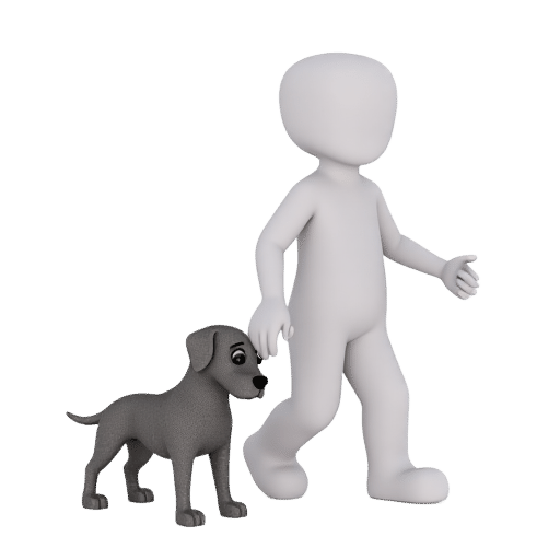 walking the dog
