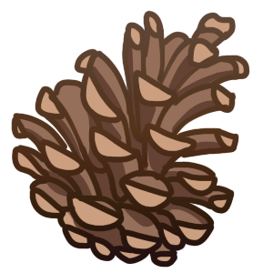 pinecone