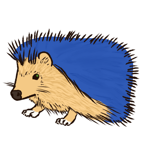 hedgehog