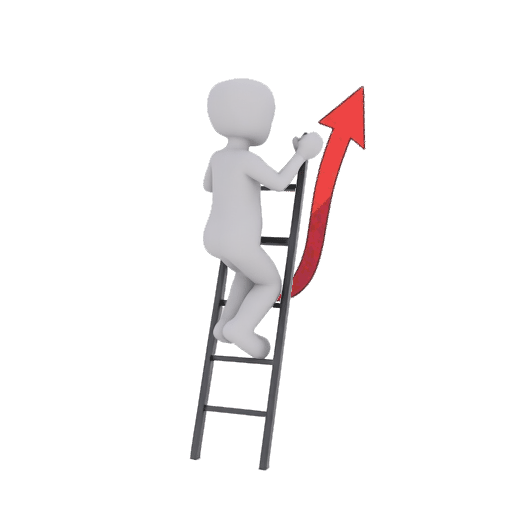 climb a ladder
