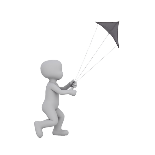 fly a kite