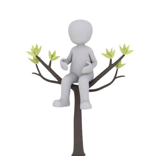 perch