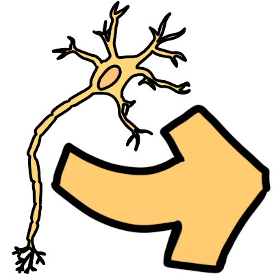 neuro