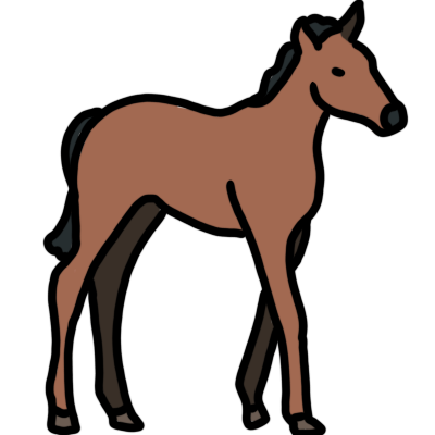 foal