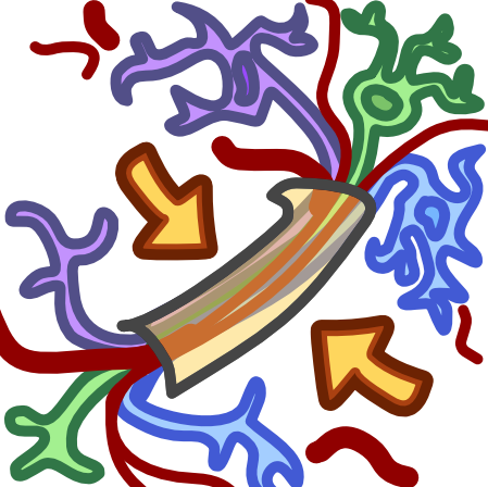nerve