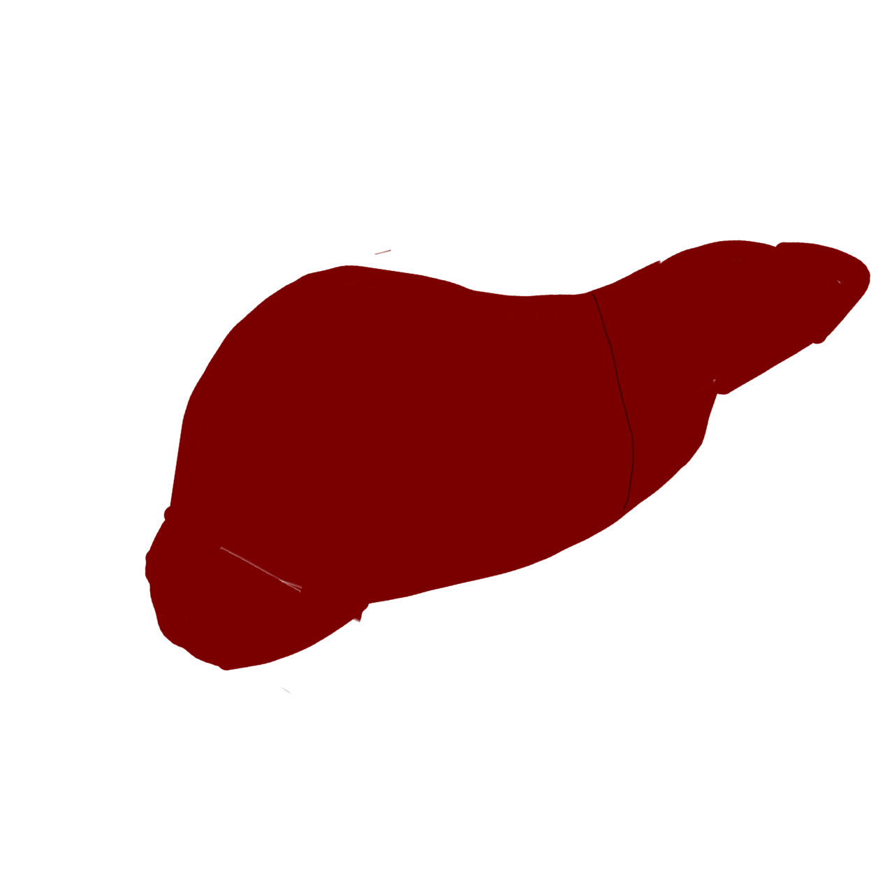 liver
