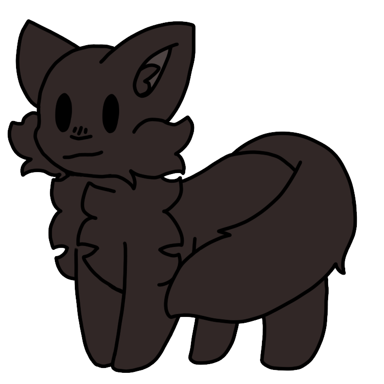 black solid cat