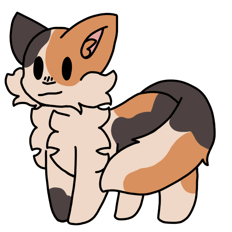 calico cat