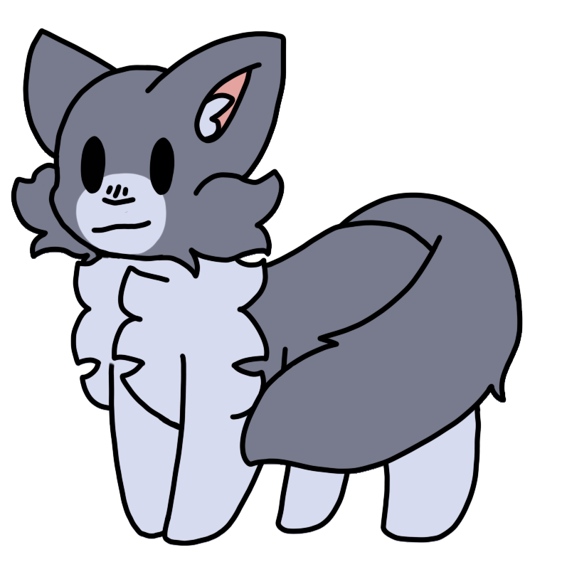 grey tuxedo cat