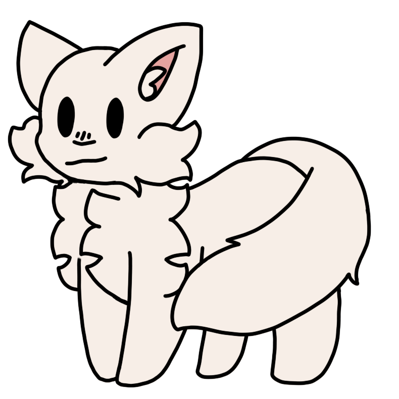 white solid cat