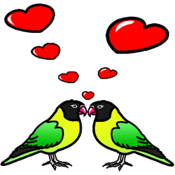 lovebirds